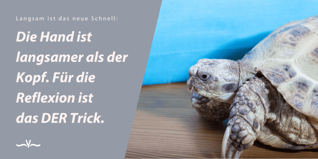 Zitatkarte von Stefanie Voss: „Die Hand ist langsamer als der Kopf. Für die Reflexion ist das der Trick.“ Daneben eine Schildkröte